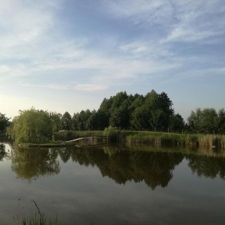 Вілла Agrowczasy Nad Stawem Ґартатовіце Екстер'єр фото