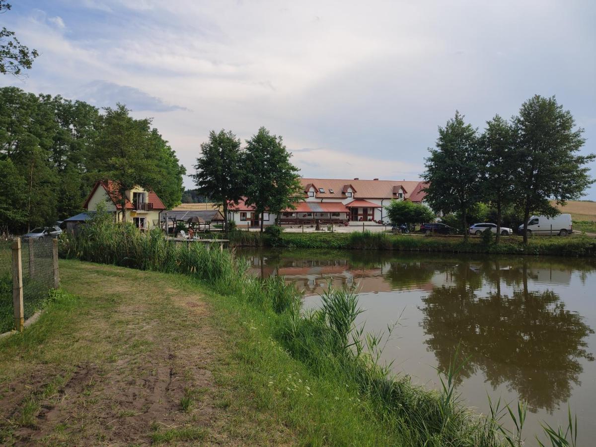 Вілла Agrowczasy Nad Stawem Ґартатовіце Екстер'єр фото
