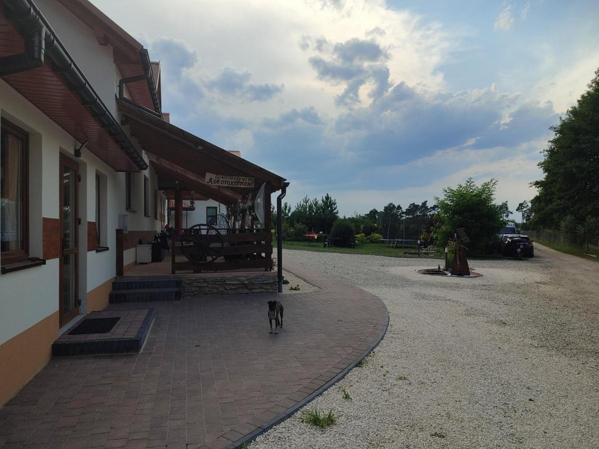 Вілла Agrowczasy Nad Stawem Ґартатовіце Екстер'єр фото
