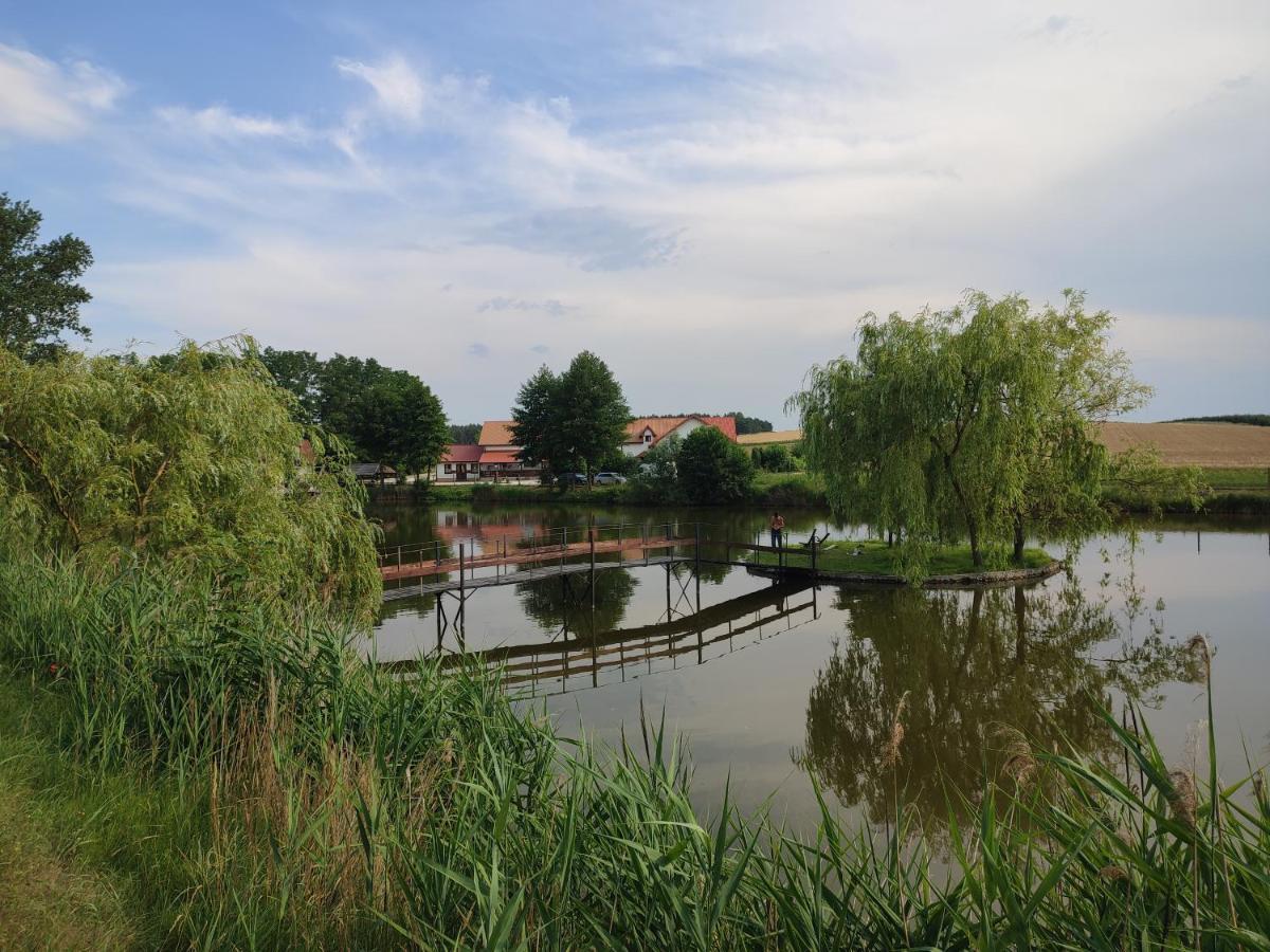 Вілла Agrowczasy Nad Stawem Ґартатовіце Екстер'єр фото