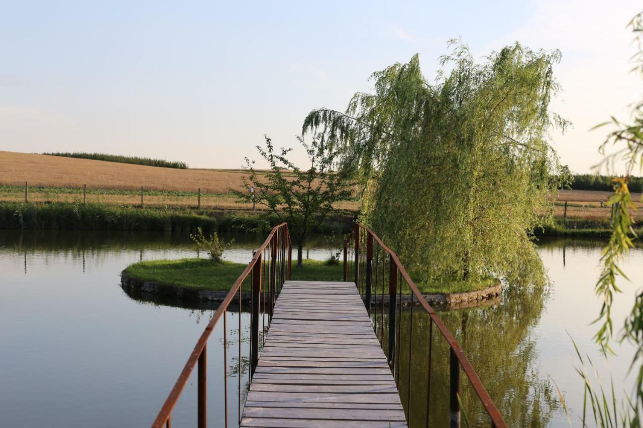Вілла Agrowczasy Nad Stawem Ґартатовіце Екстер'єр фото