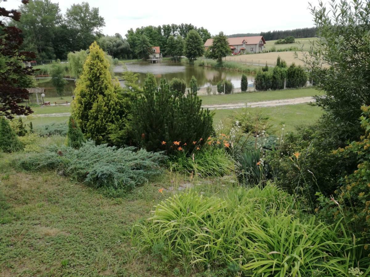 Вілла Agrowczasy Nad Stawem Ґартатовіце Екстер'єр фото