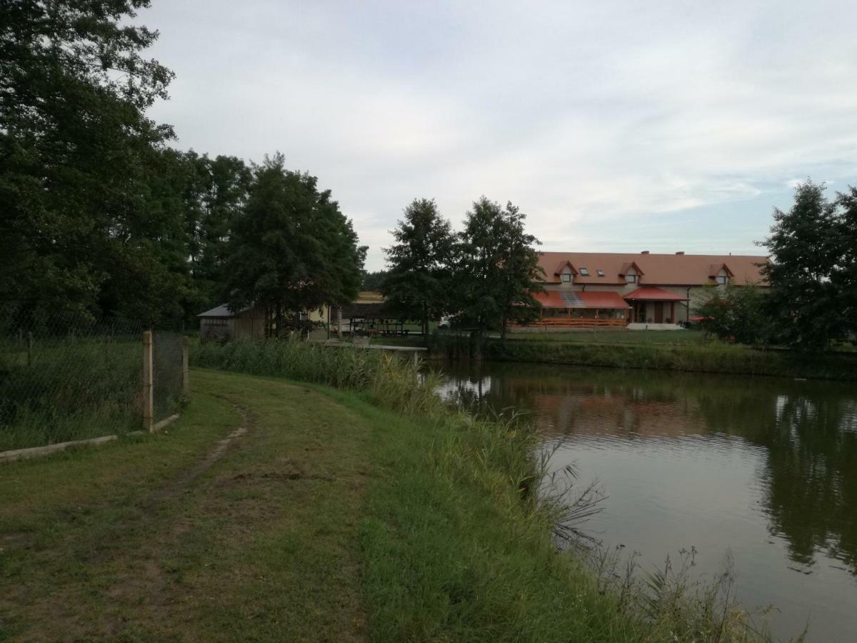 Вілла Agrowczasy Nad Stawem Ґартатовіце Екстер'єр фото